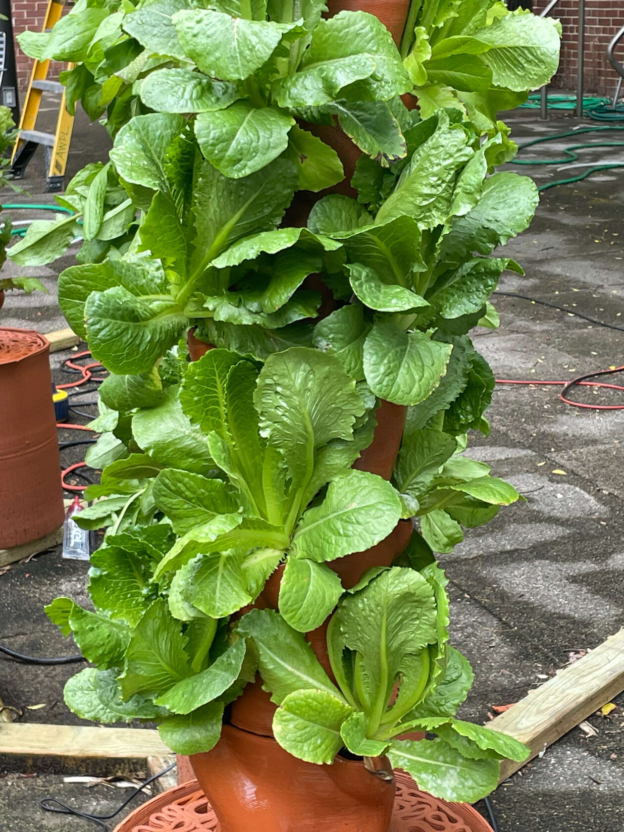 Clayponic V1 Logman Arja’s 3d Printed Clay Hydroponics (9)