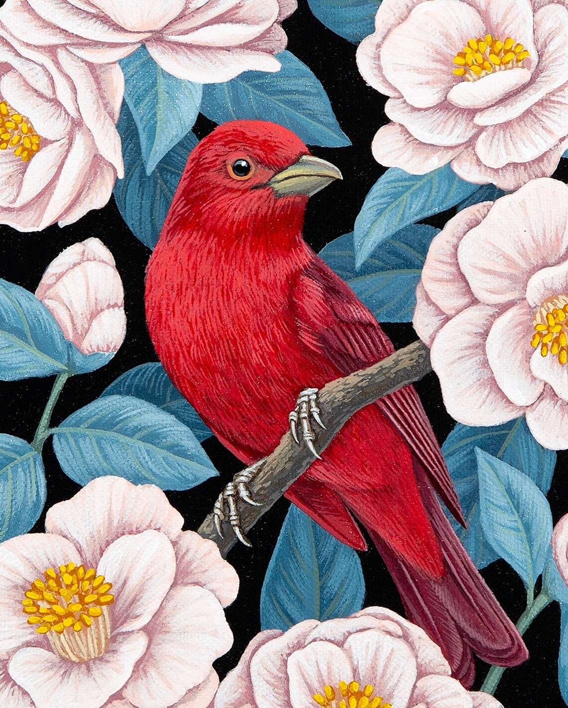 Vasilisa Romanenko’s Bird Paintings (1)