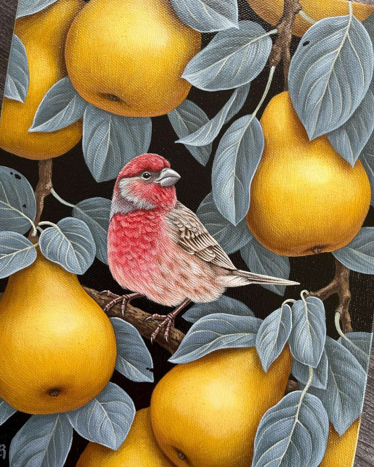 Vasilisa Romanenko’s Bird Paintings (12)