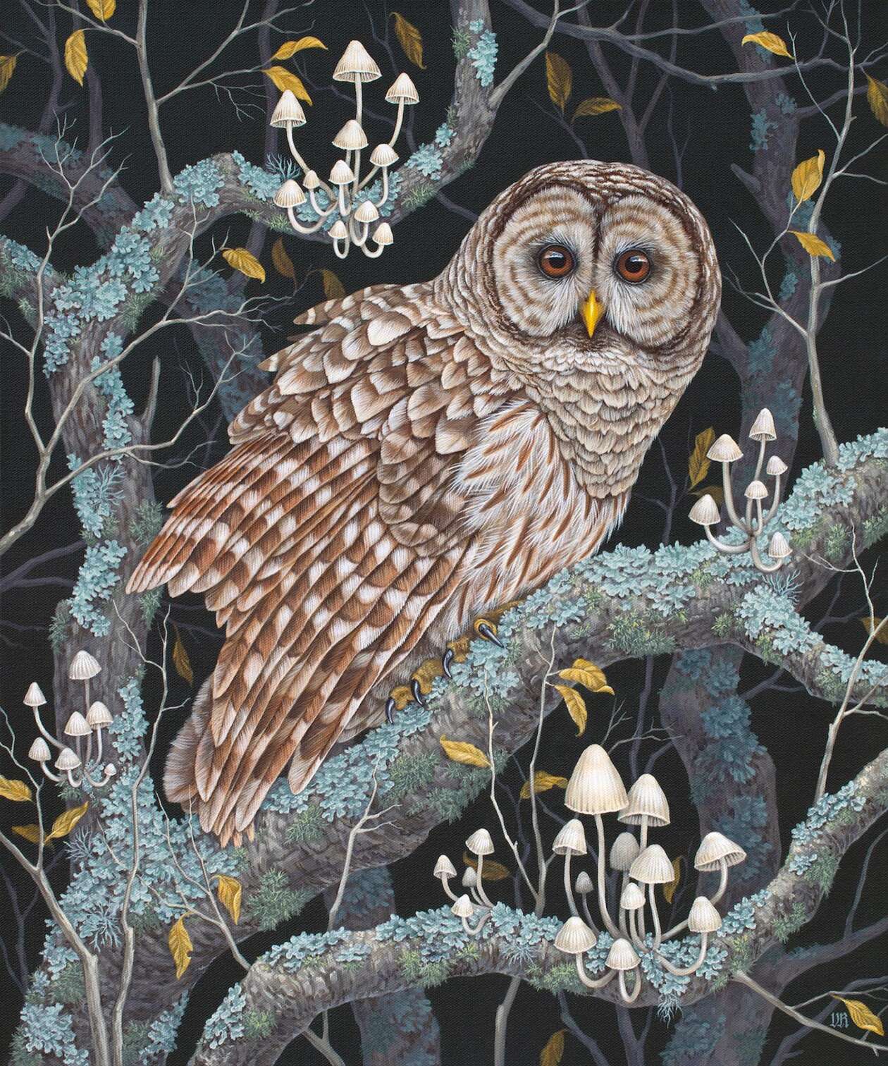 Vasilisa Romanenko’s Bird Paintings (14)