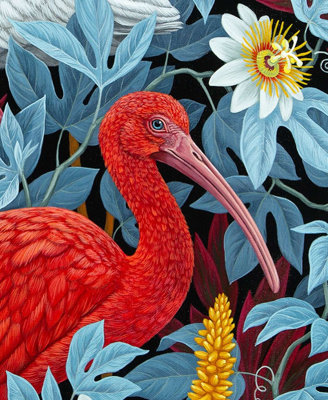 Vasilisa Romanenko’s Bird Paintings (2)
