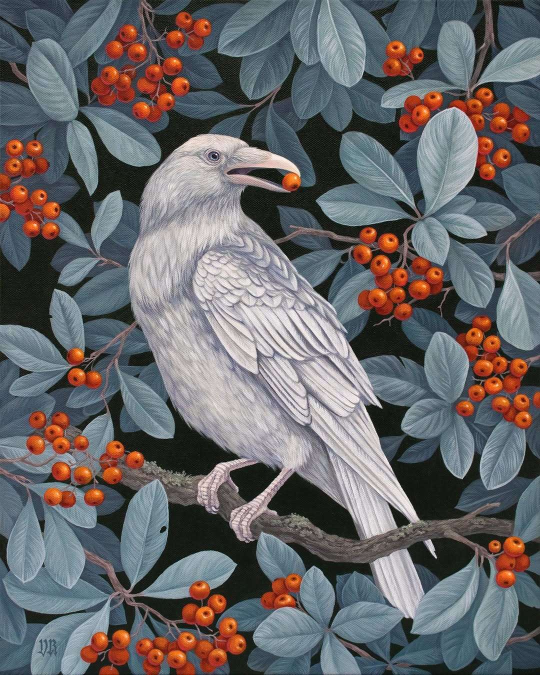 Vasilisa Romanenko’s Bird Paintings (6)