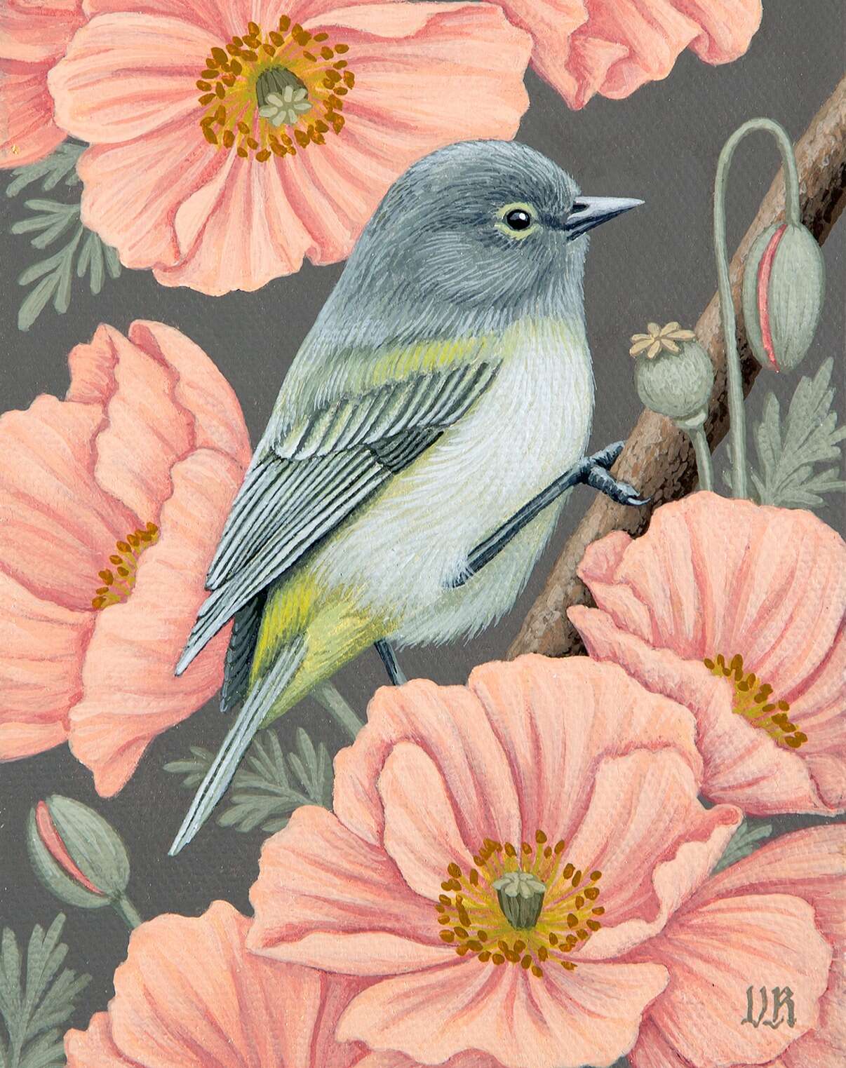 Vasilisa Romanenko’s Bird Paintings (8)