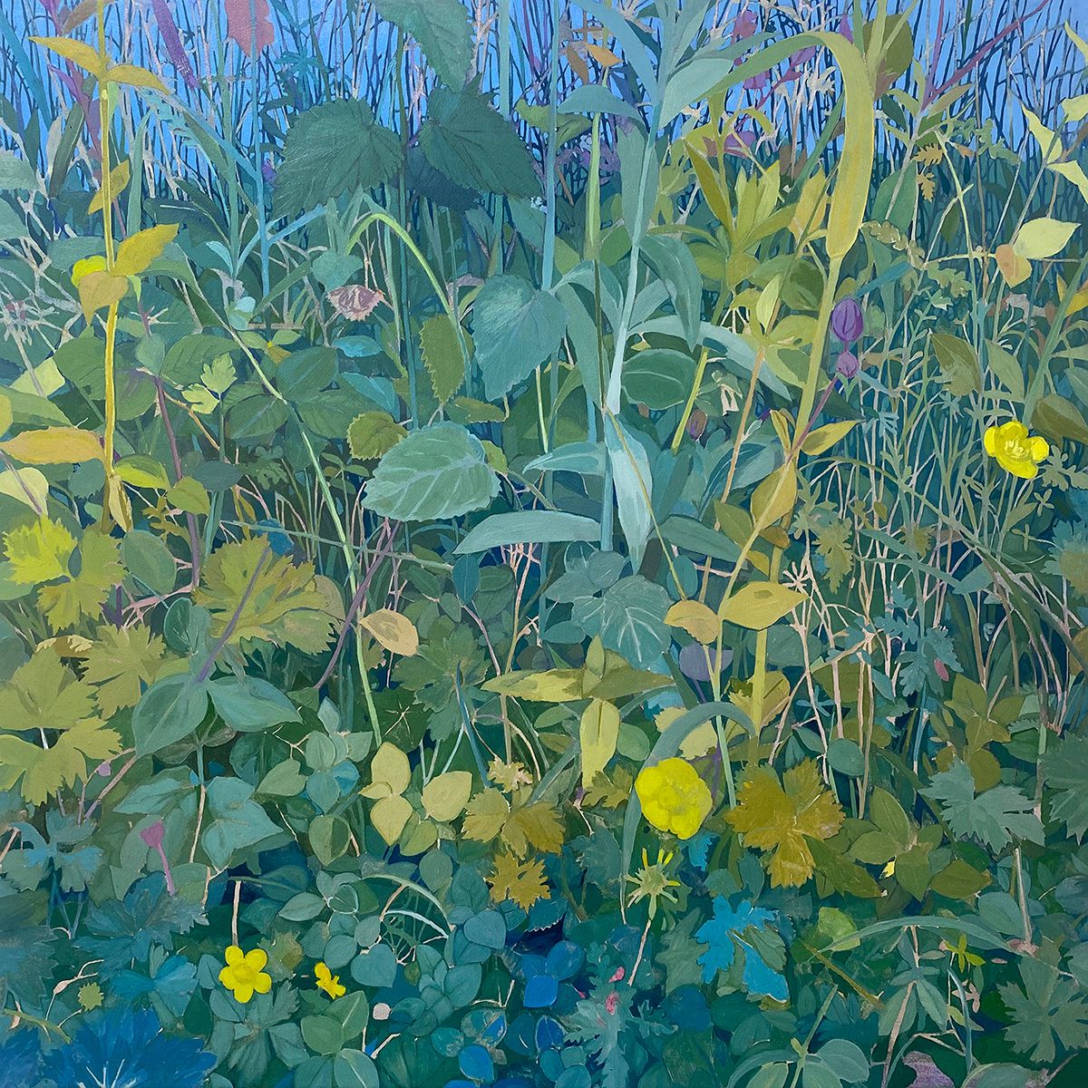 Conrad P Clarke's Botanical Painting (1)