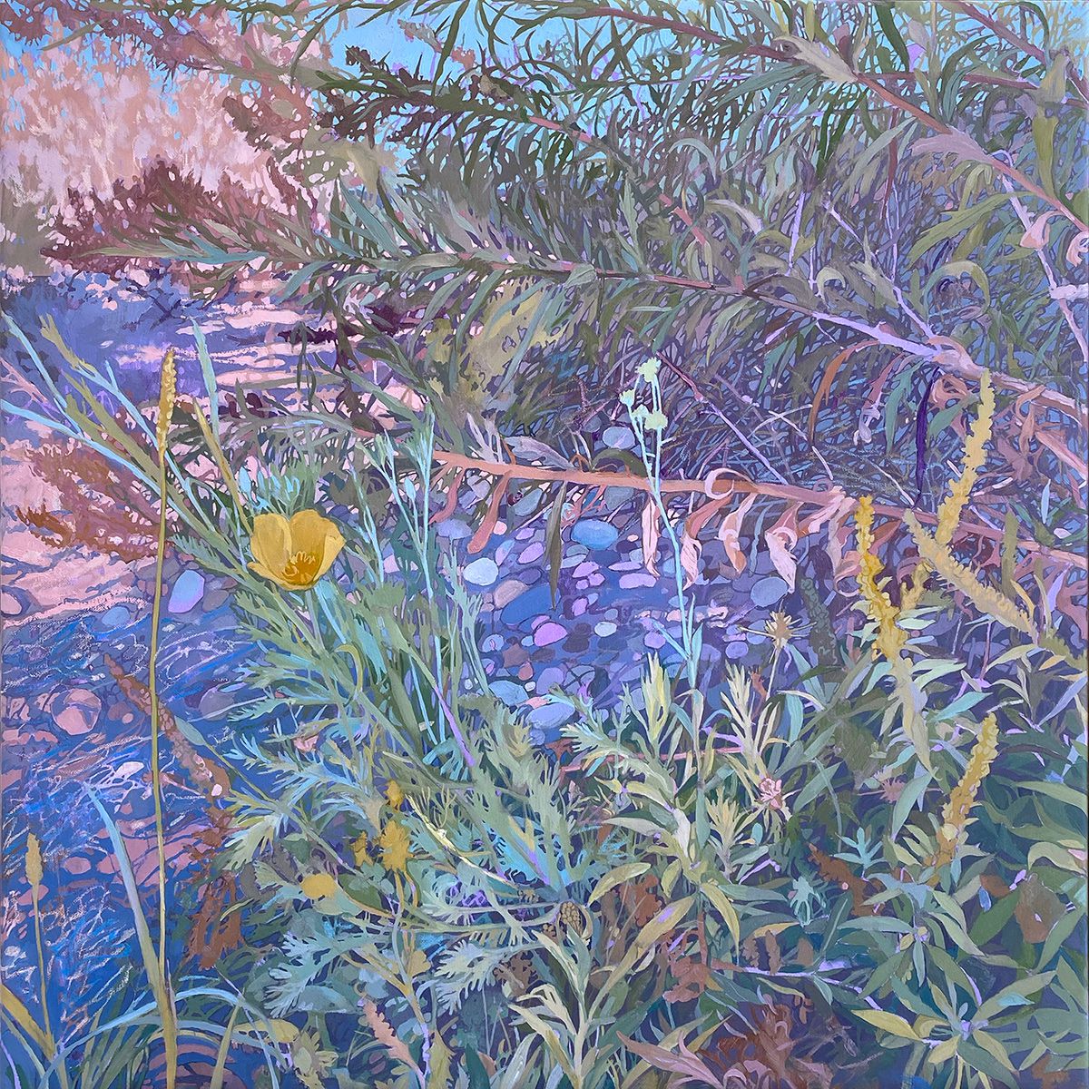 Conrad P Clarke's Botanical Painting (10)