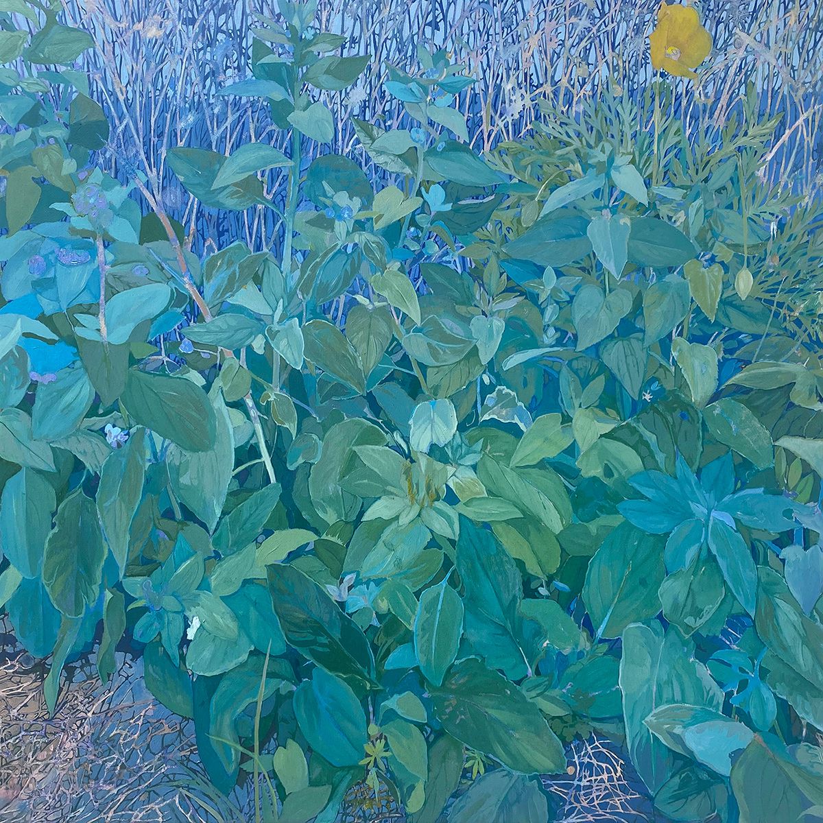 Conrad P Clarke's Botanical Painting (11)