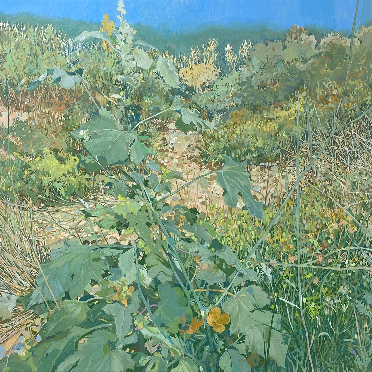 Conrad P Clarke's Botanical Painting (13)