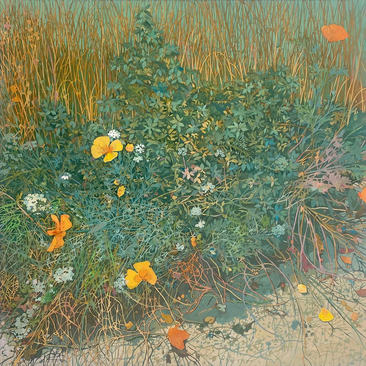 Conrad P Clarke's Botanical Painting (2)