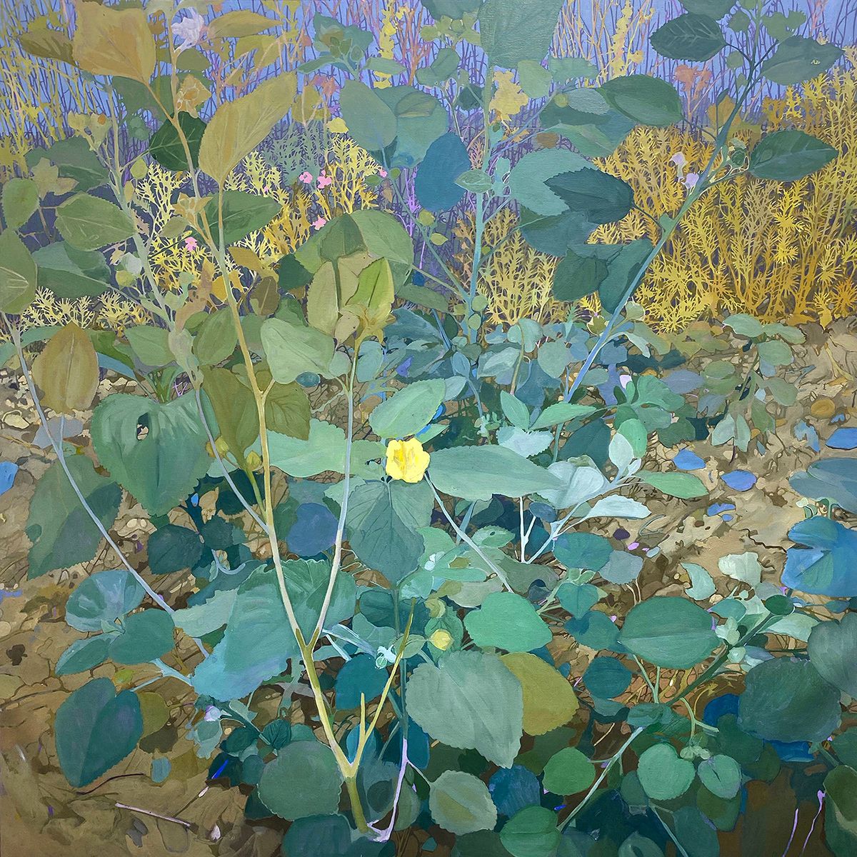 Conrad P Clarke's Botanical Painting (3)