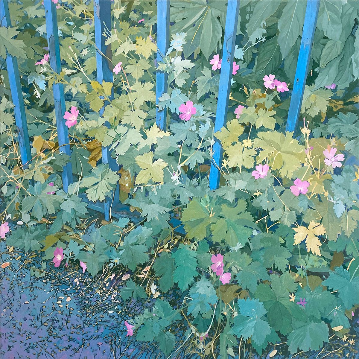 Conrad P Clarke's Botanical Painting (4)