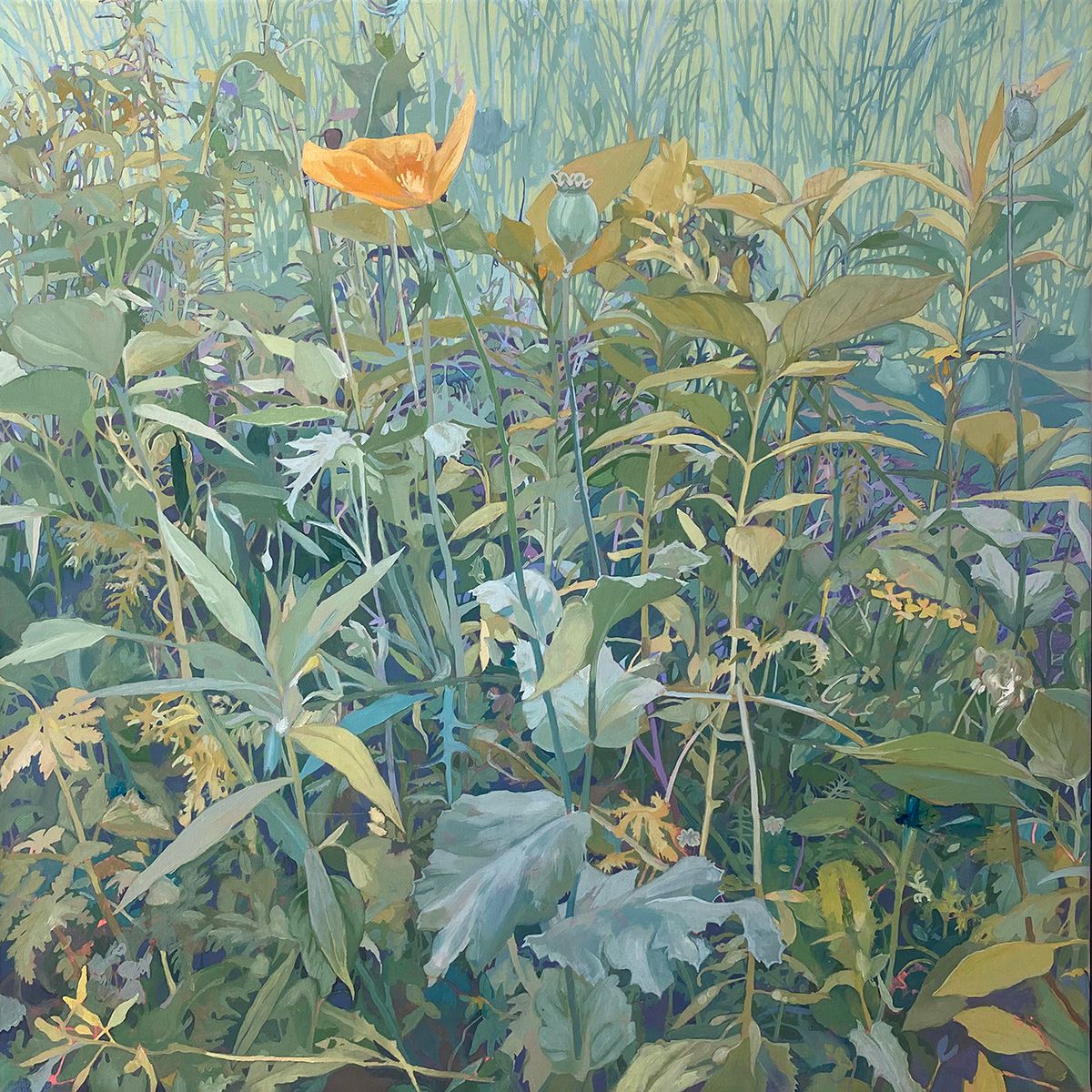 Conrad P Clarke's Botanical Painting (6)