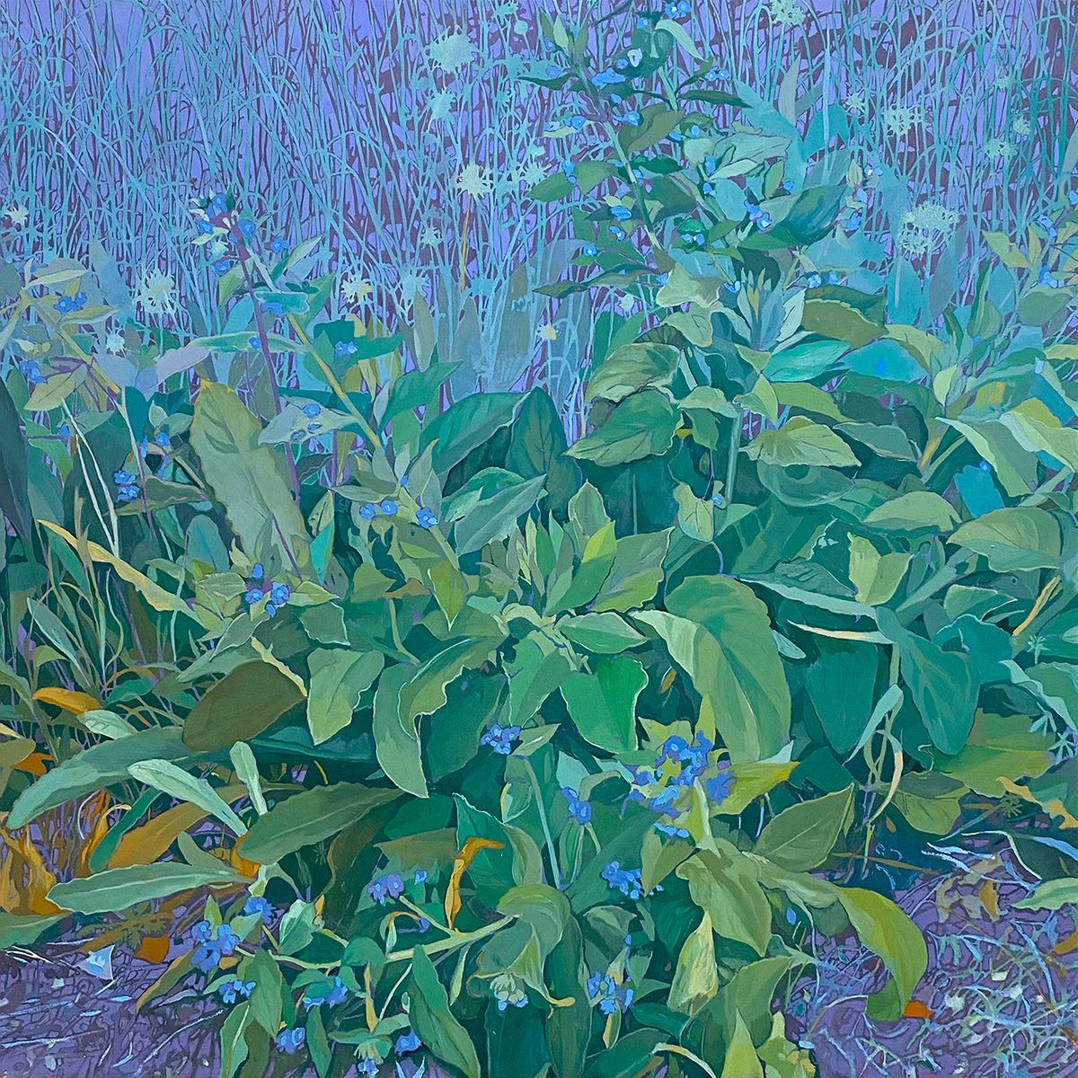 Conrad P Clarke's Botanical Painting (7)