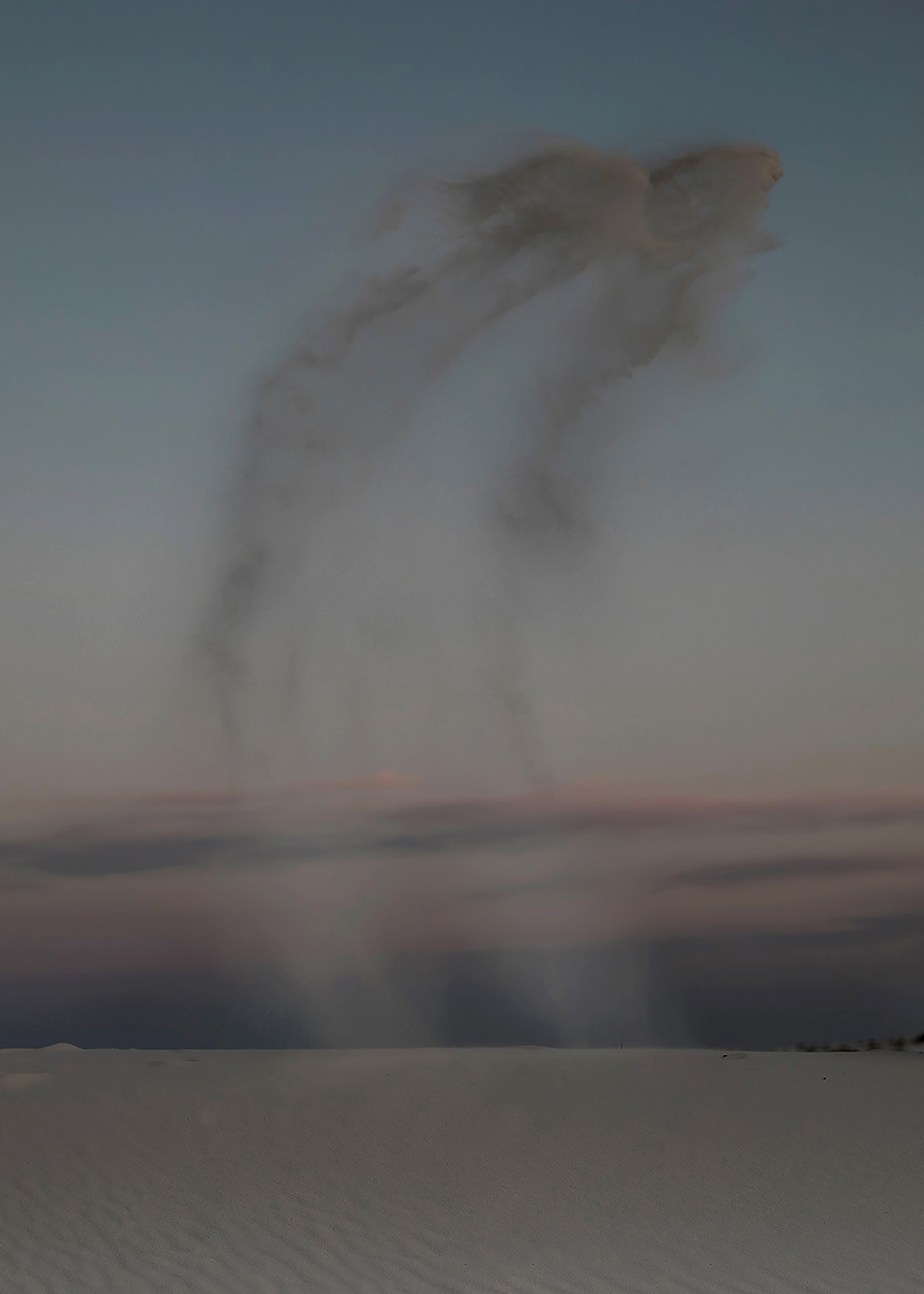 Delaney Allen's Strange Nature Series (2)