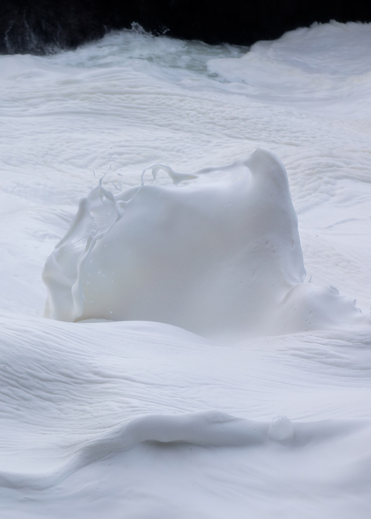 Delaney Allen's Strange Nature Series (8)