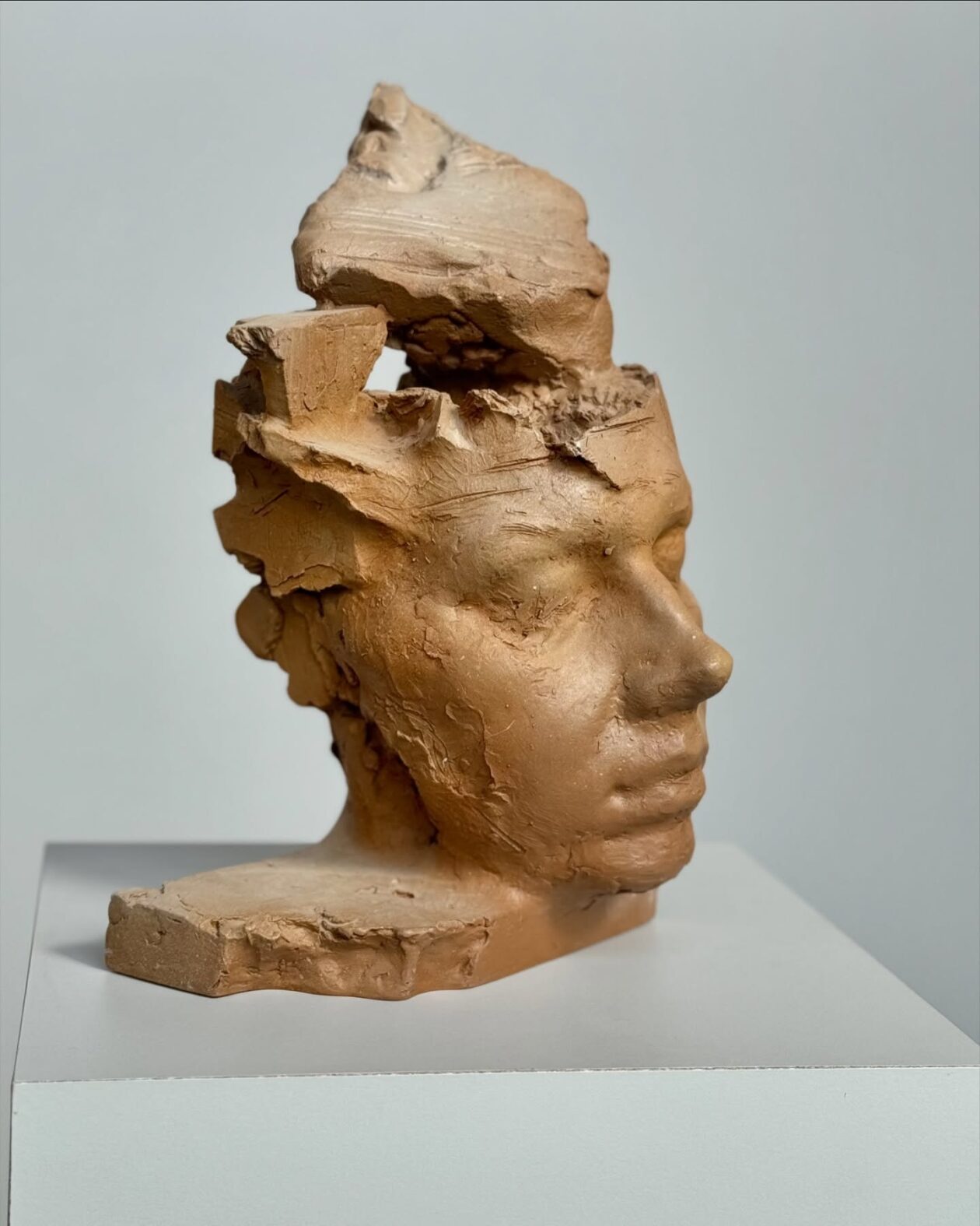 Expressive Ceramic Sculptures By Eudald De Juana Gorriz (10)
