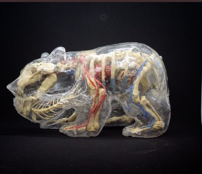 Kenichi Nakaya Surreal Sculptures (15)