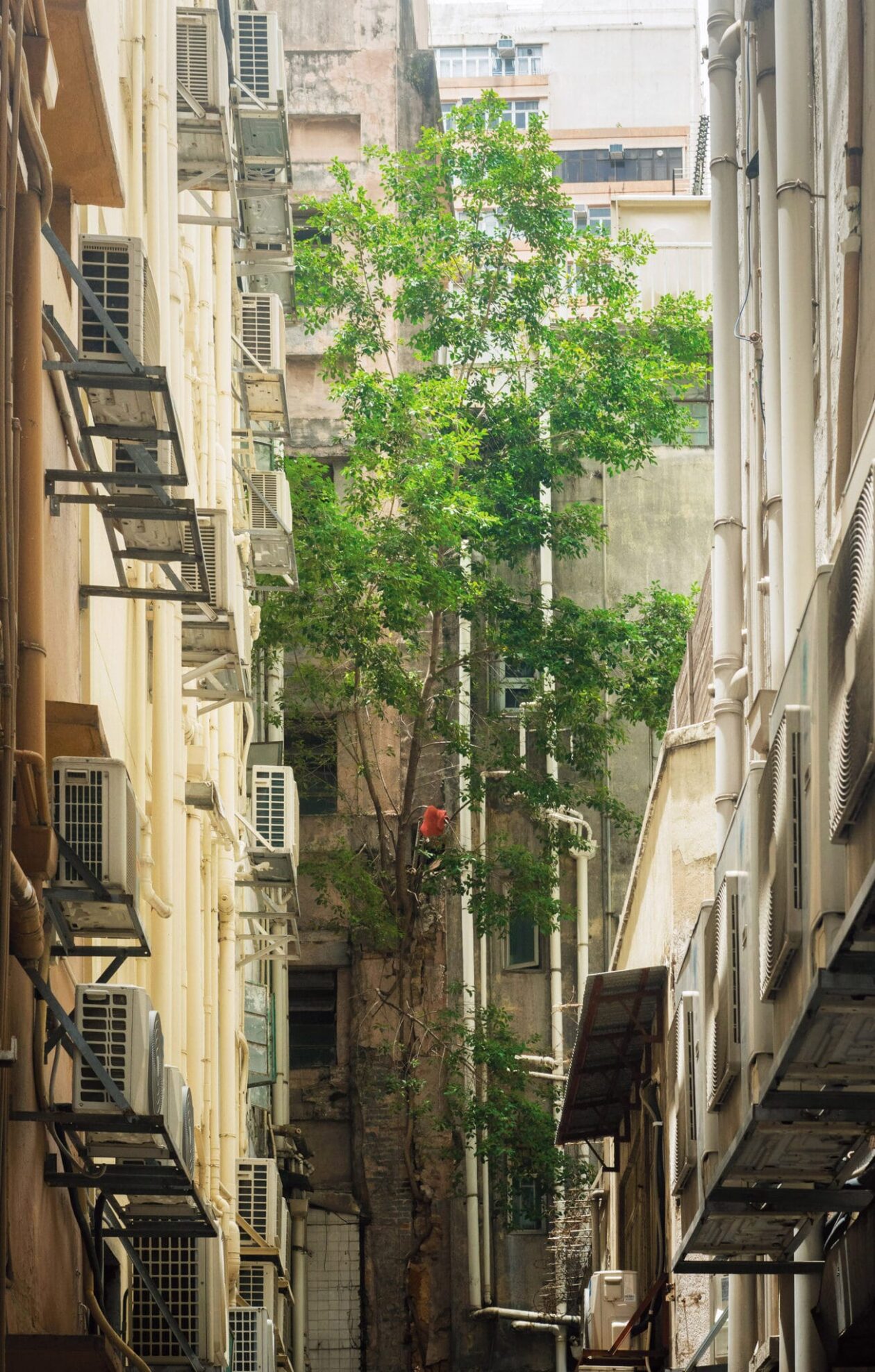 Romain Jacquet Lagrèze's Urban Photography Of Hong Kong's Heights (12)