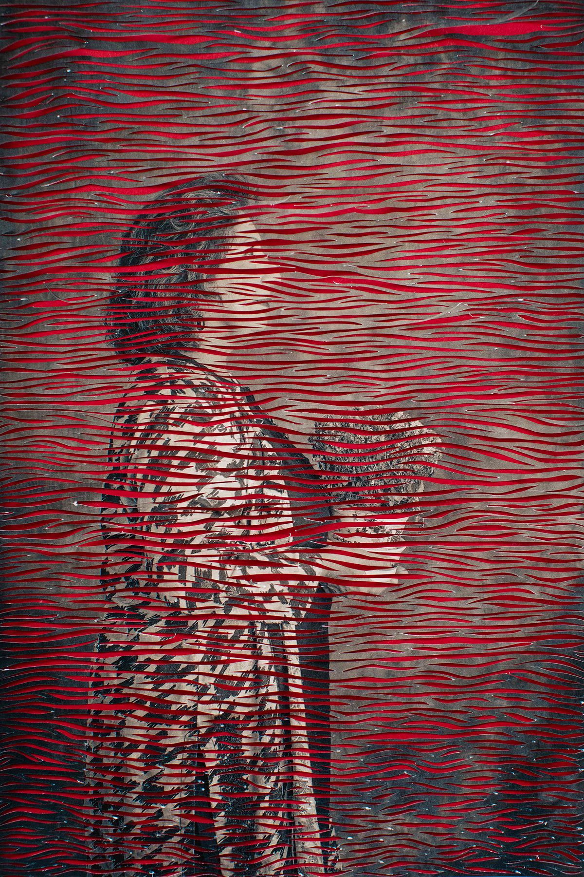 Sujata Setia's A Thousand Cuts Photography Series (8)