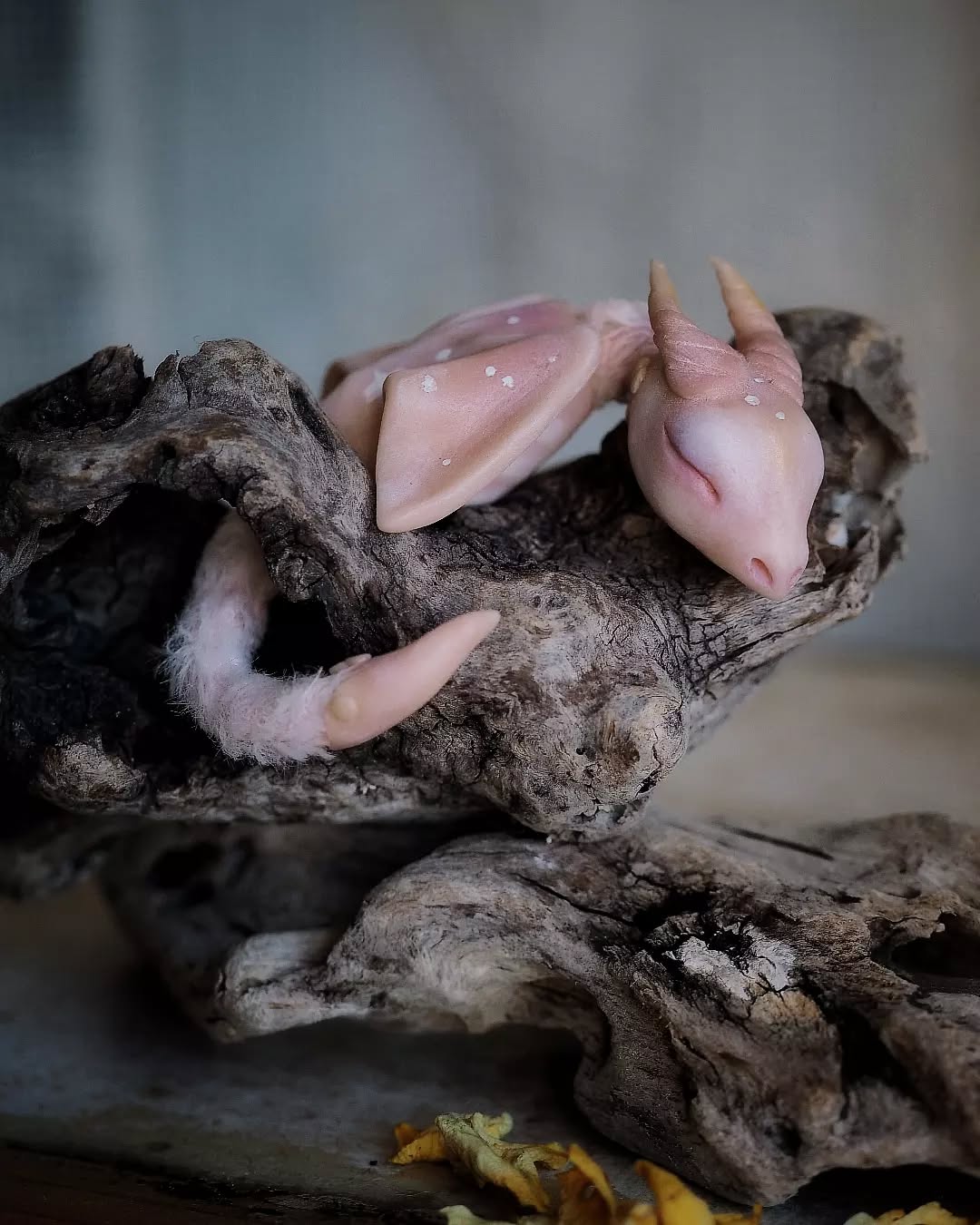 The Beautifully Bizarre Dolls Of Iva Raven (3)