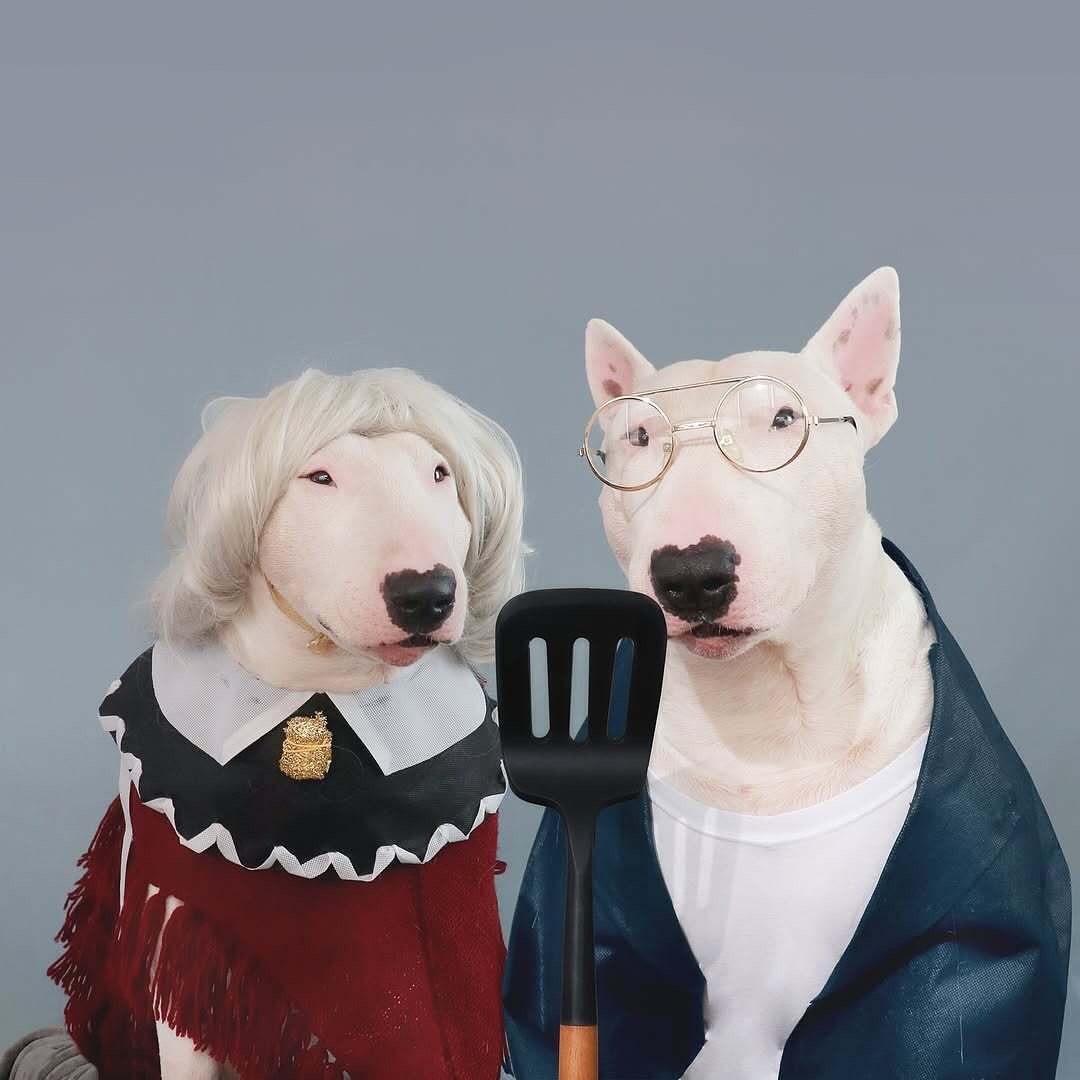 Antonio Rodrigues Jr's Bull Terrier Portraits (11)