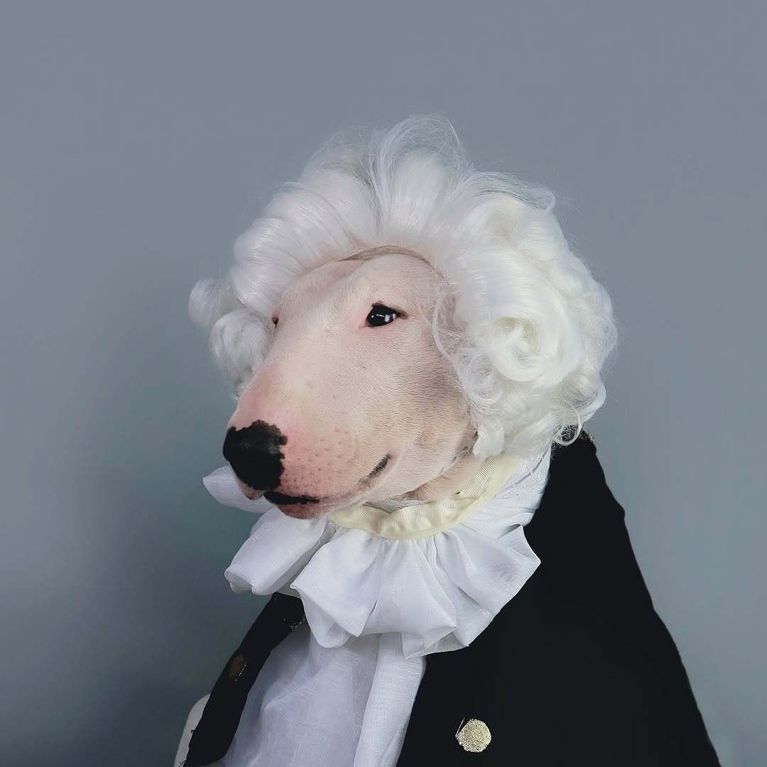 Antonio Rodrigues Jr's Bull Terrier Portraits (14)