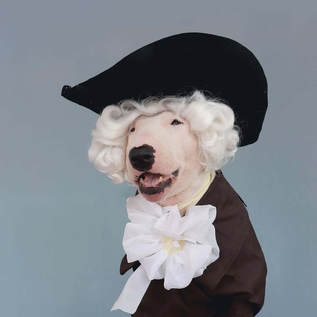 Antonio Rodrigues Jr's Bull Terrier Portraits (16)