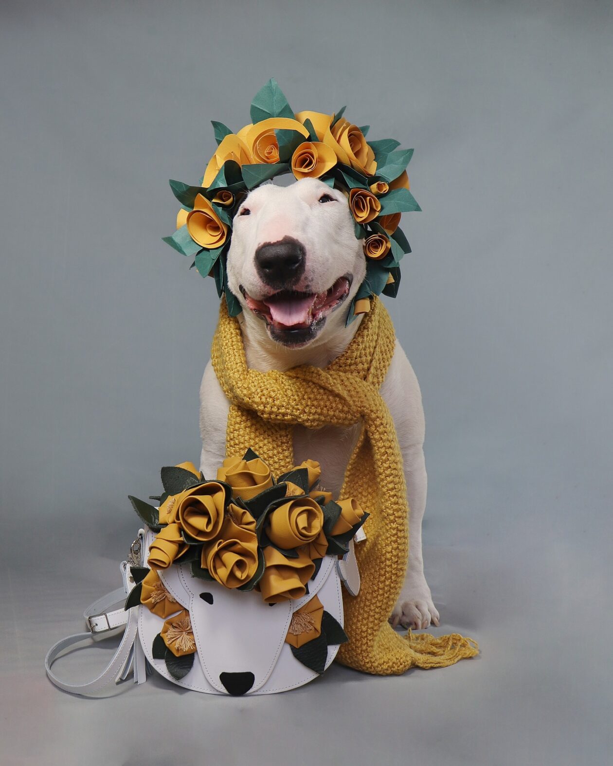 Antonio Rodrigues Jr's Bull Terrier Portraits (18)