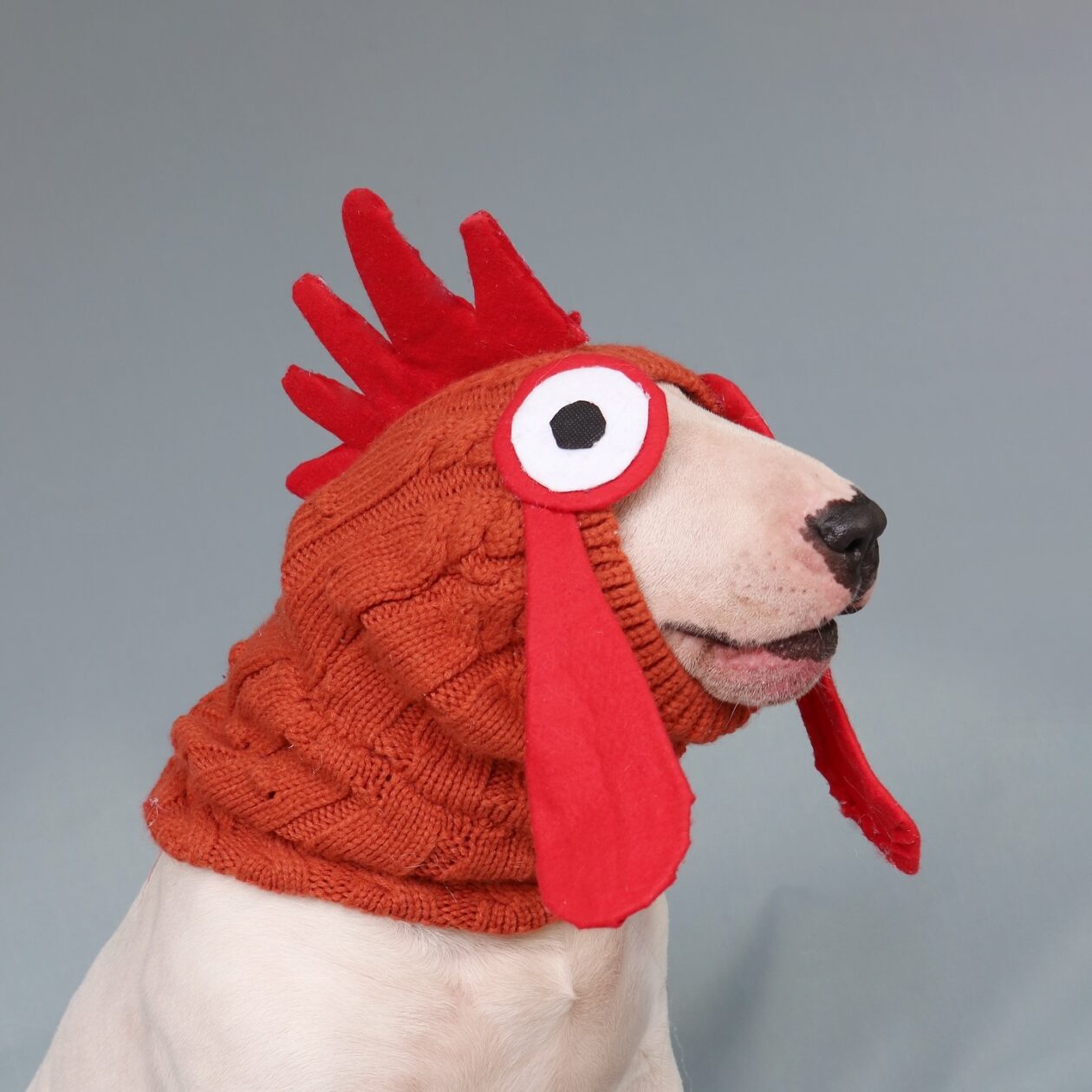 Antonio Rodrigues Jr's Bull Terrier Portraits (19)