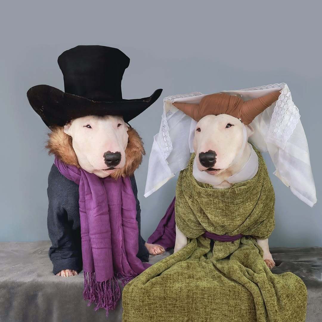 Antonio Rodrigues Jr's Bull Terrier Portraits (3)