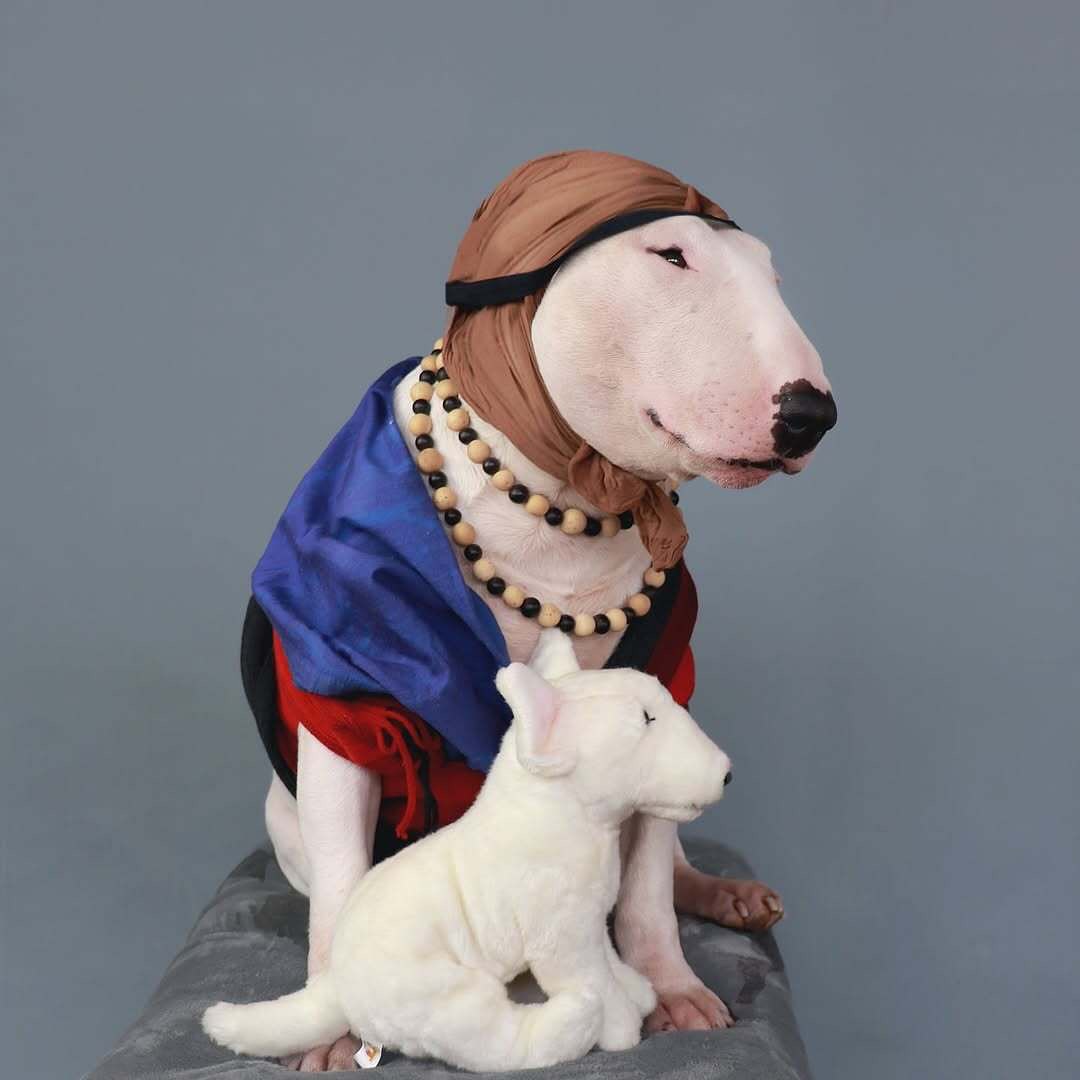 Antonio Rodrigues Jr's Bull Terrier Portraits (5)