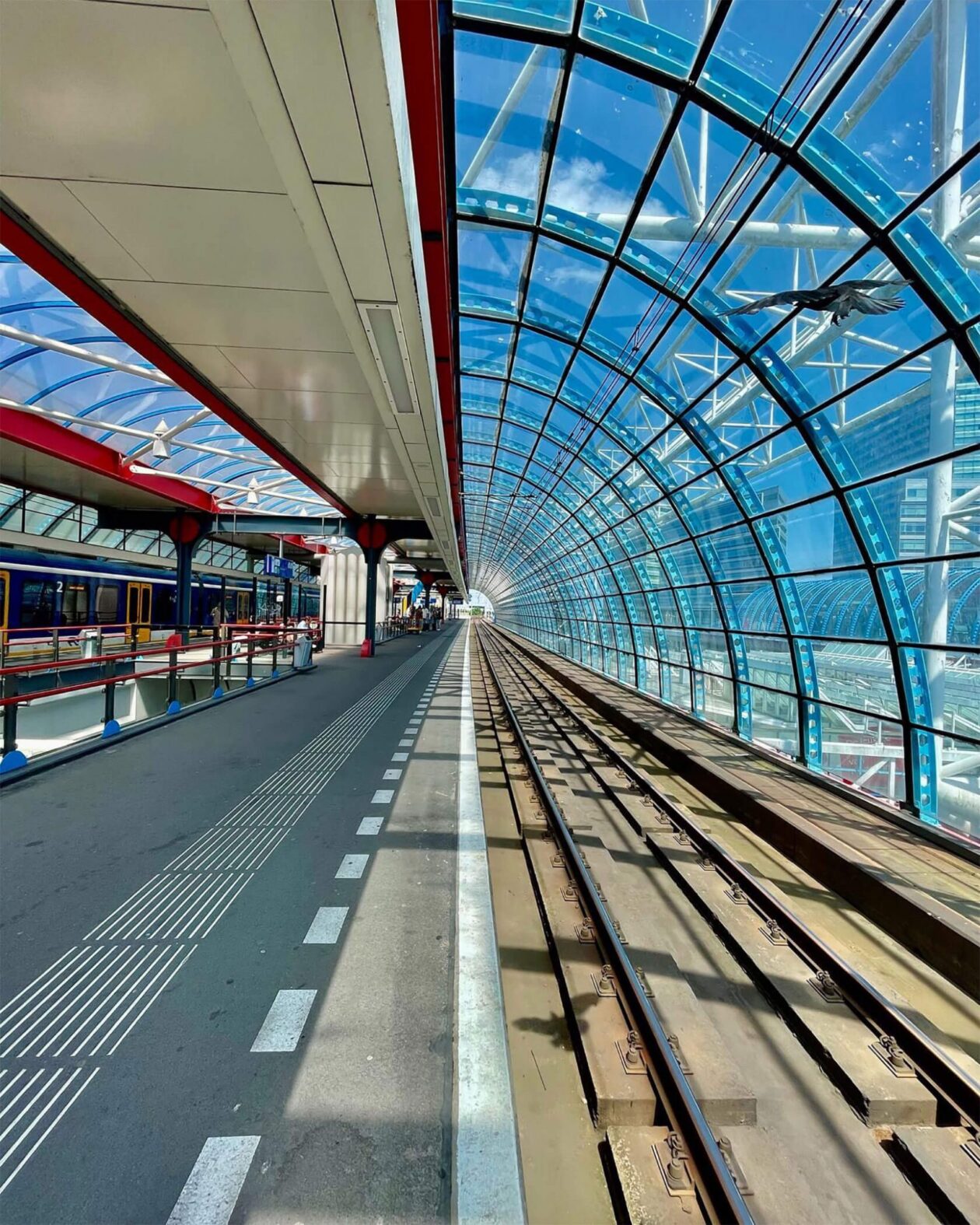 Rob Hoeijmakers’s Split View Photography (8)