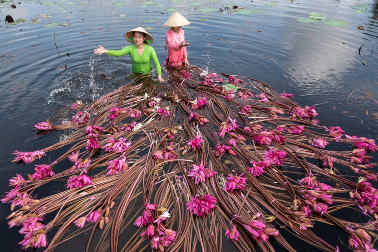Captivating Photos Of Vietnam By Julian Elliott (14)