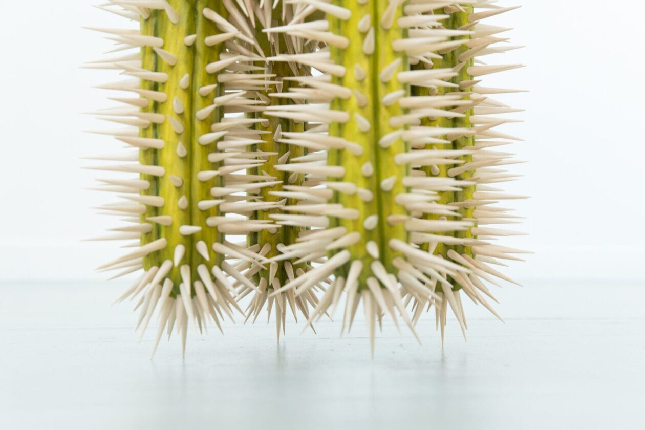 Raul De Lara's Host Exhibition Of Wood Sculptures (5)