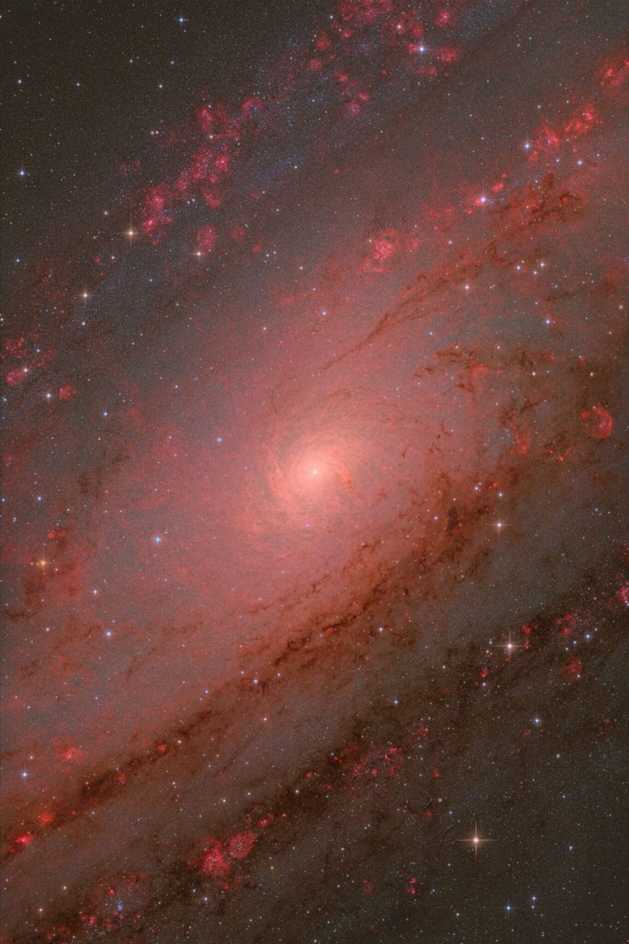 Zwo Astronomy Photographer Of The Year 17 Winners (2)