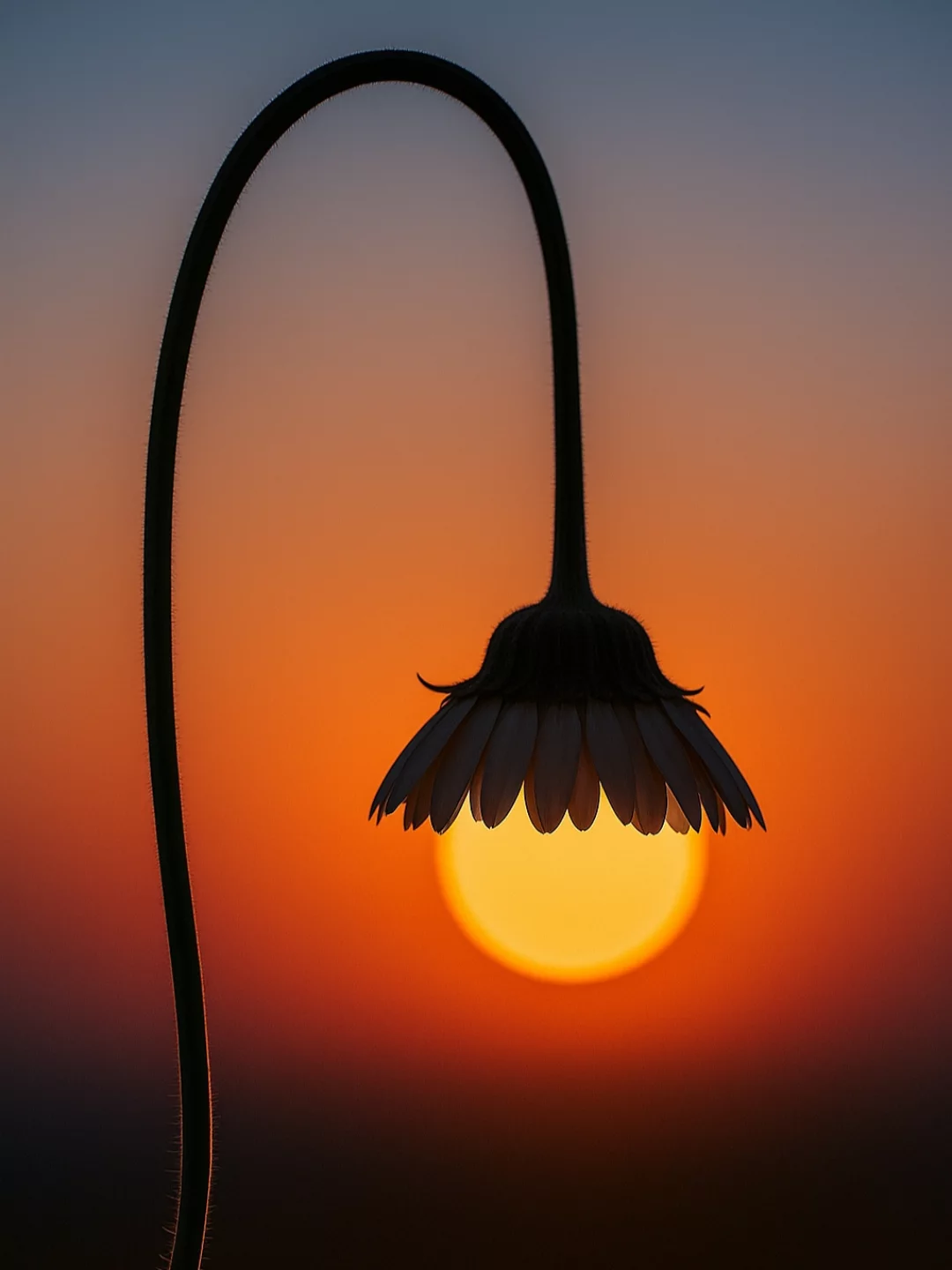 Benjamin Wolf's Minimalist Creative Photography (6)