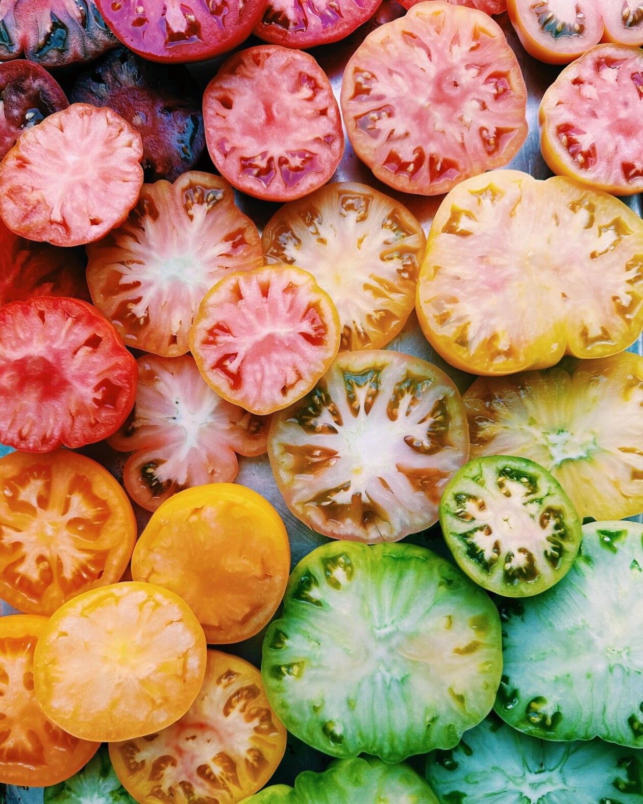 Brittany Wright's Gradient Food Photography (10)