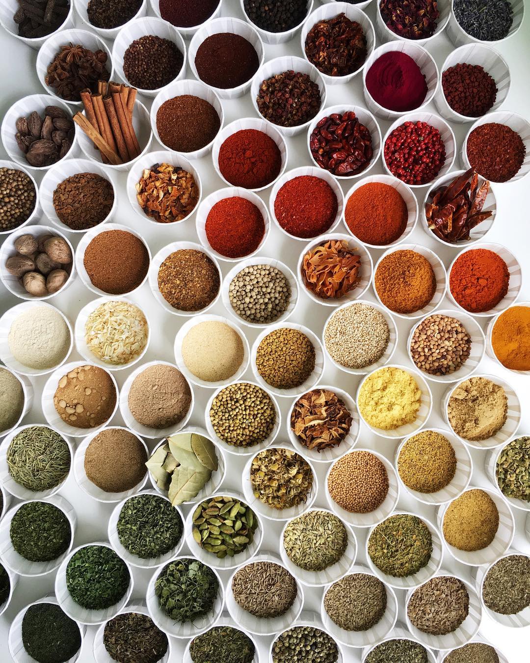 Brittany Wright's Gradient Food Photography (12)