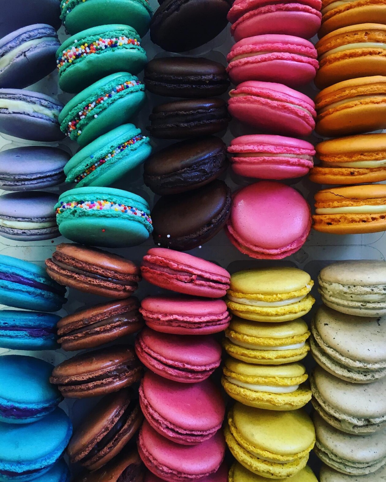 Brittany Wright's Gradient Food Photography (2)