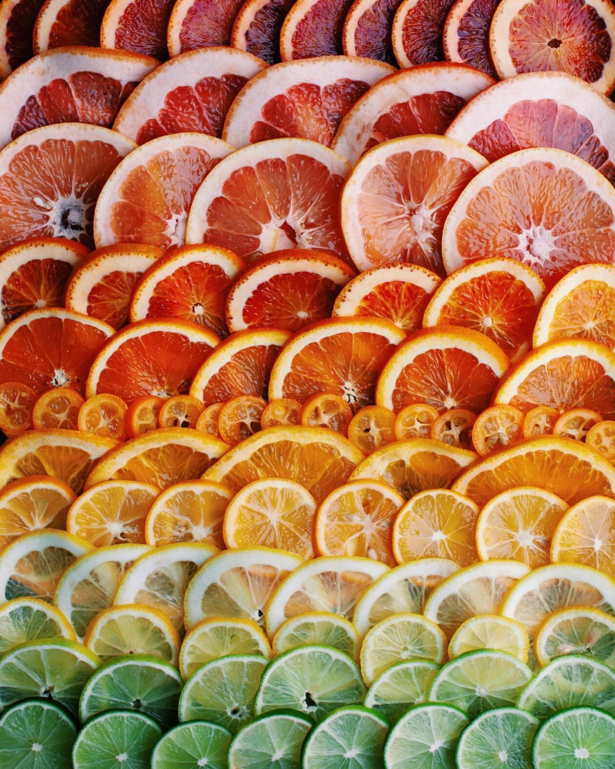 Brittany Wright's Gradient Food Photography (8)