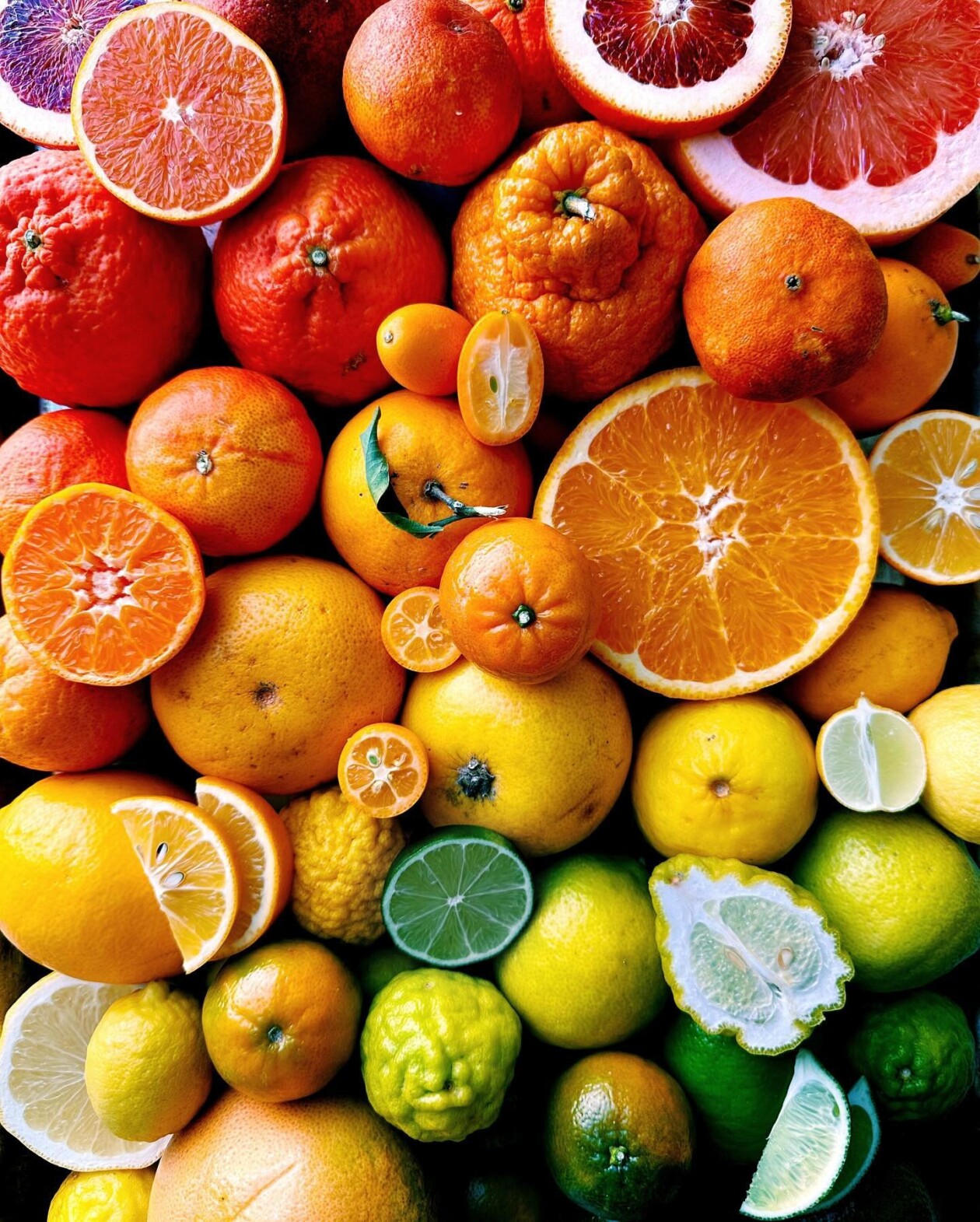 Brittany Wright's Gradient Food Photography (9)