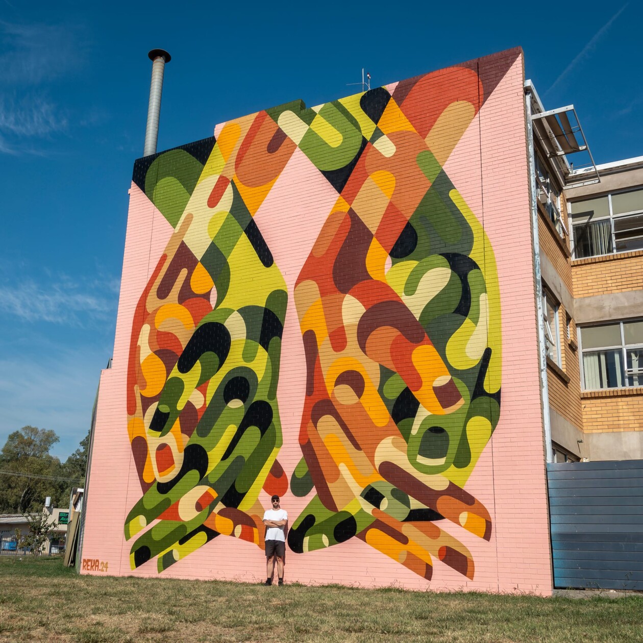 James Reka's Abstracted Murals (2)