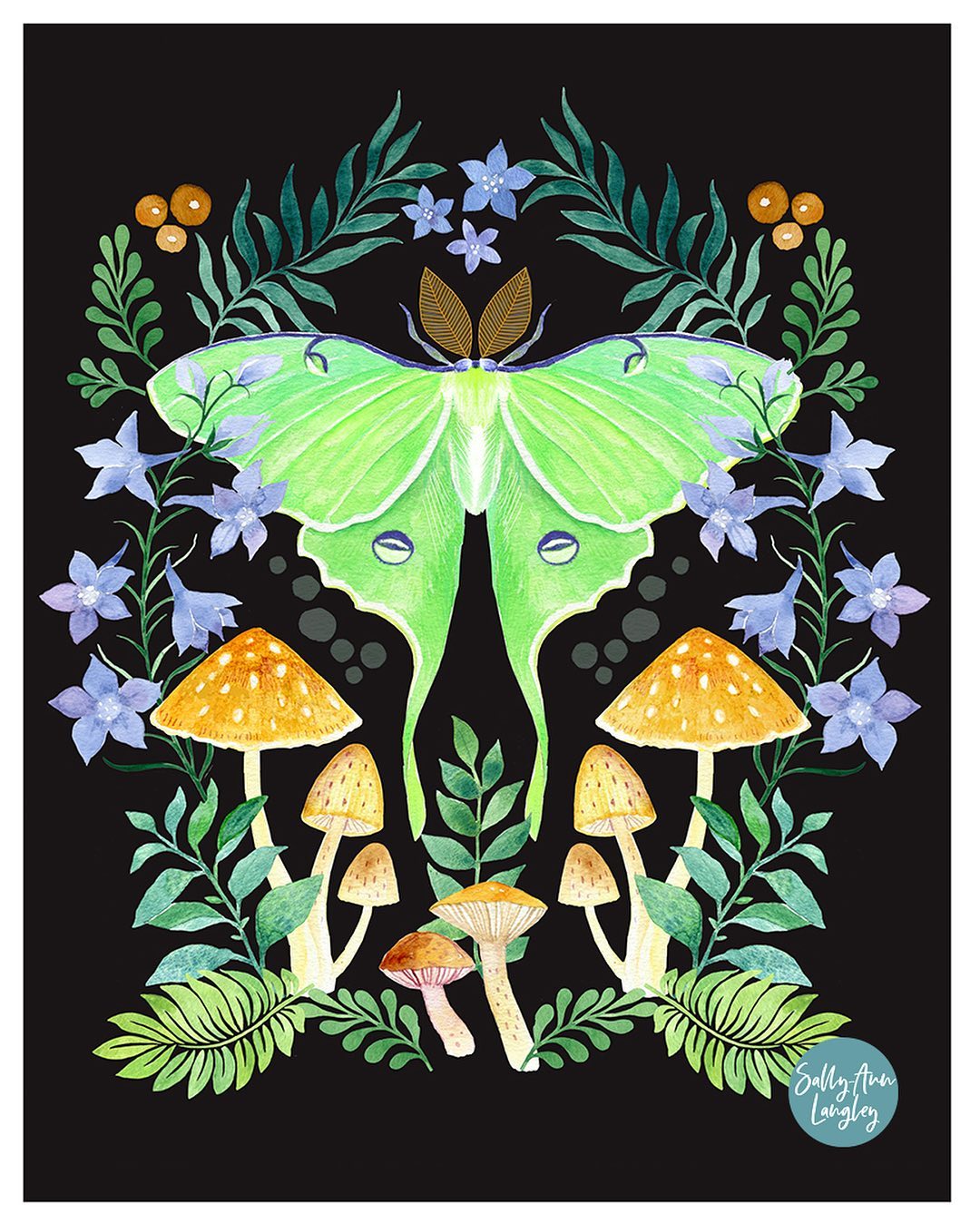 Sally Ann Langley's Fauna And Flora Watercolors (5)