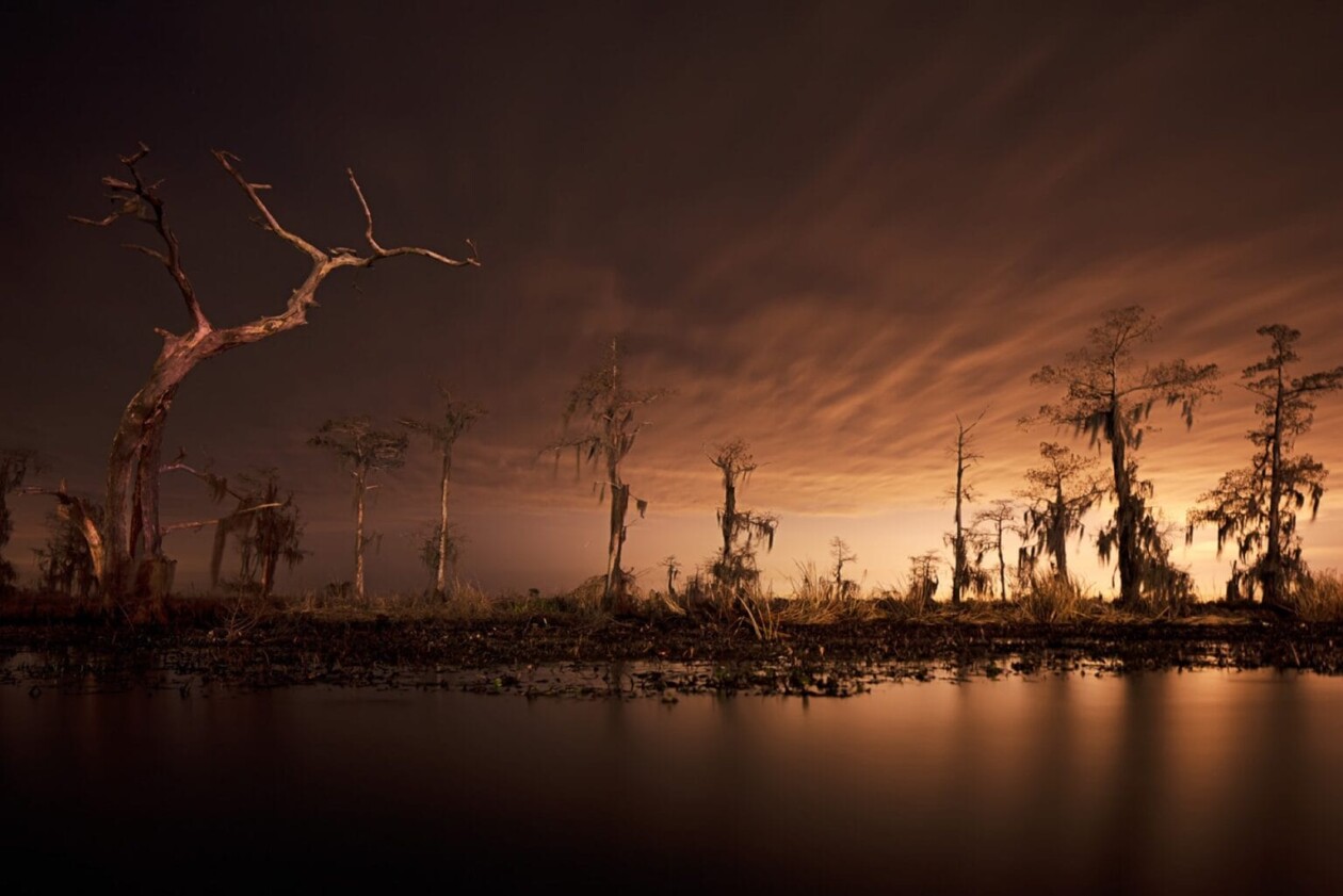 Frank Relle's Until The Water Series On Louisiana Swamps (1)