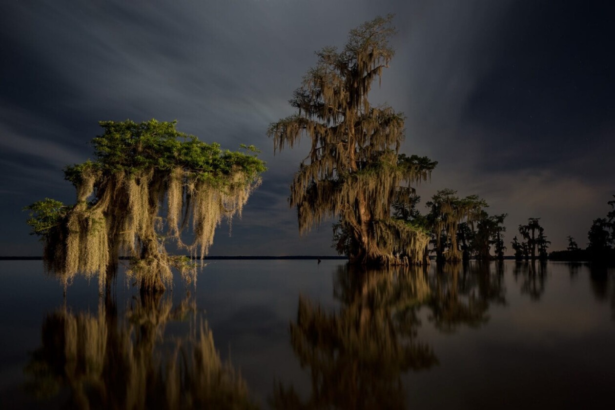 Frank Relle's Until The Water Series On Louisiana Swamps (3)