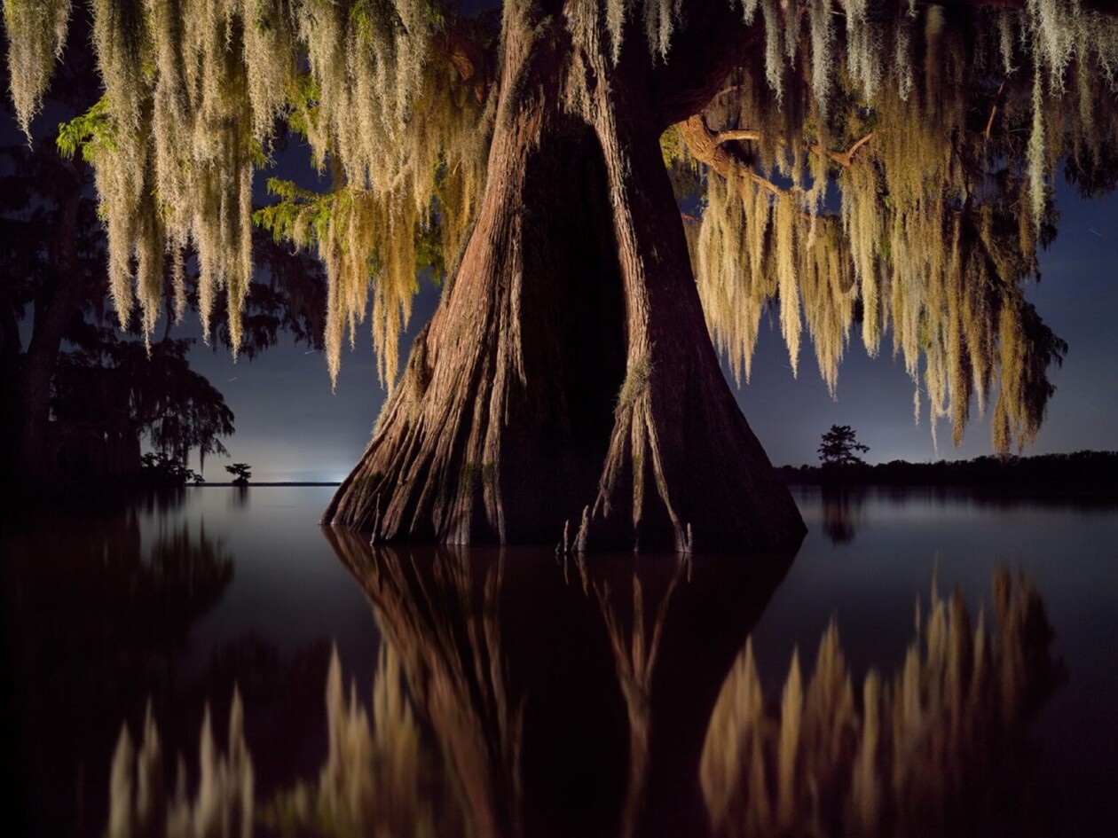 Frank Relle's Until The Water Series On Louisiana Swamps (5)