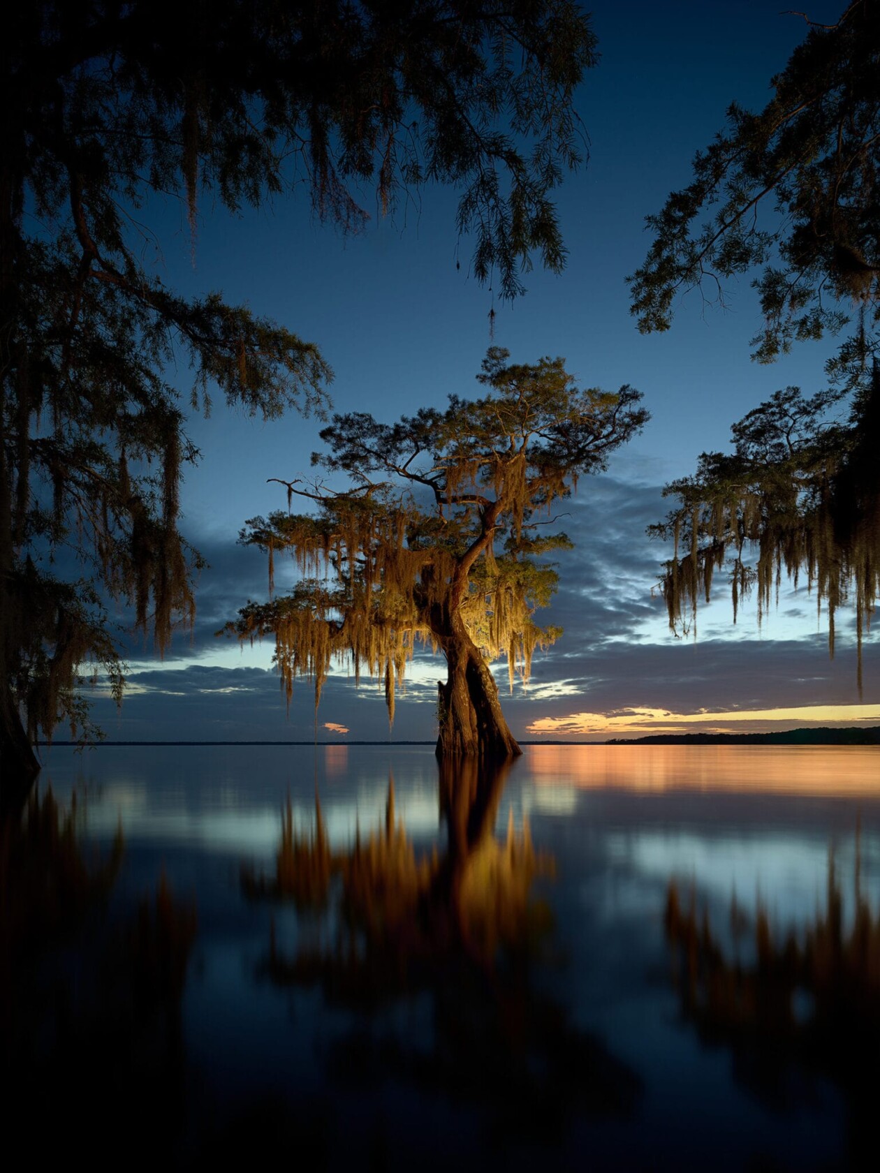 Frank Relle's Until The Water Series On Louisiana Swamps (7)