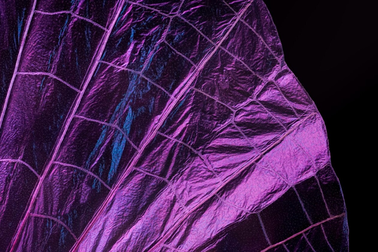 Macro Photos Of Insect Wings By Chris Perani (3)