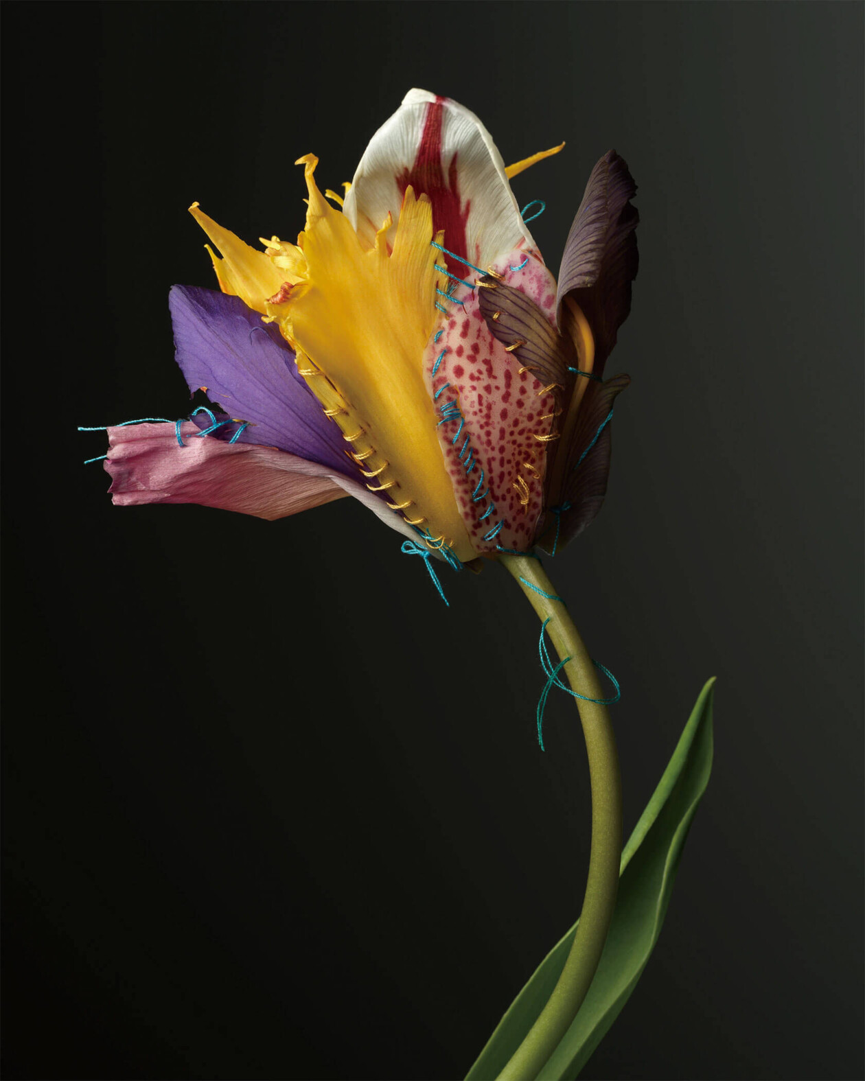 Adagio Floral Series By Cheuk Lun Lo And Vanessa Lyu (1)