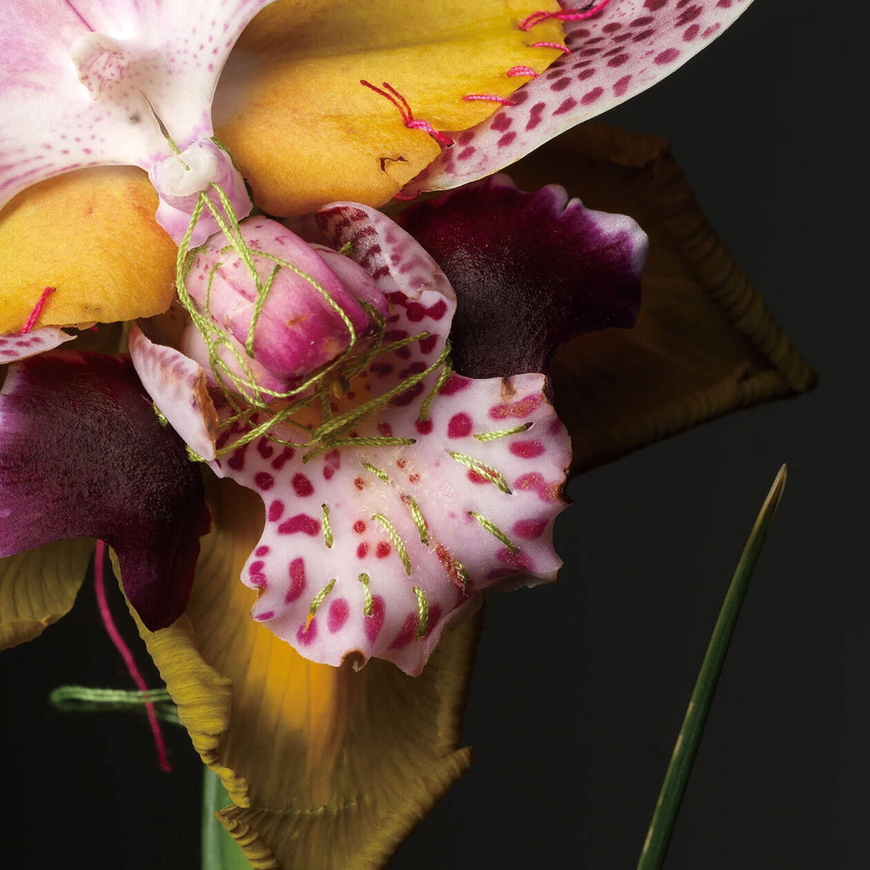 Adagio Floral Series By Cheuk Lun Lo And Vanessa Lyu (10)