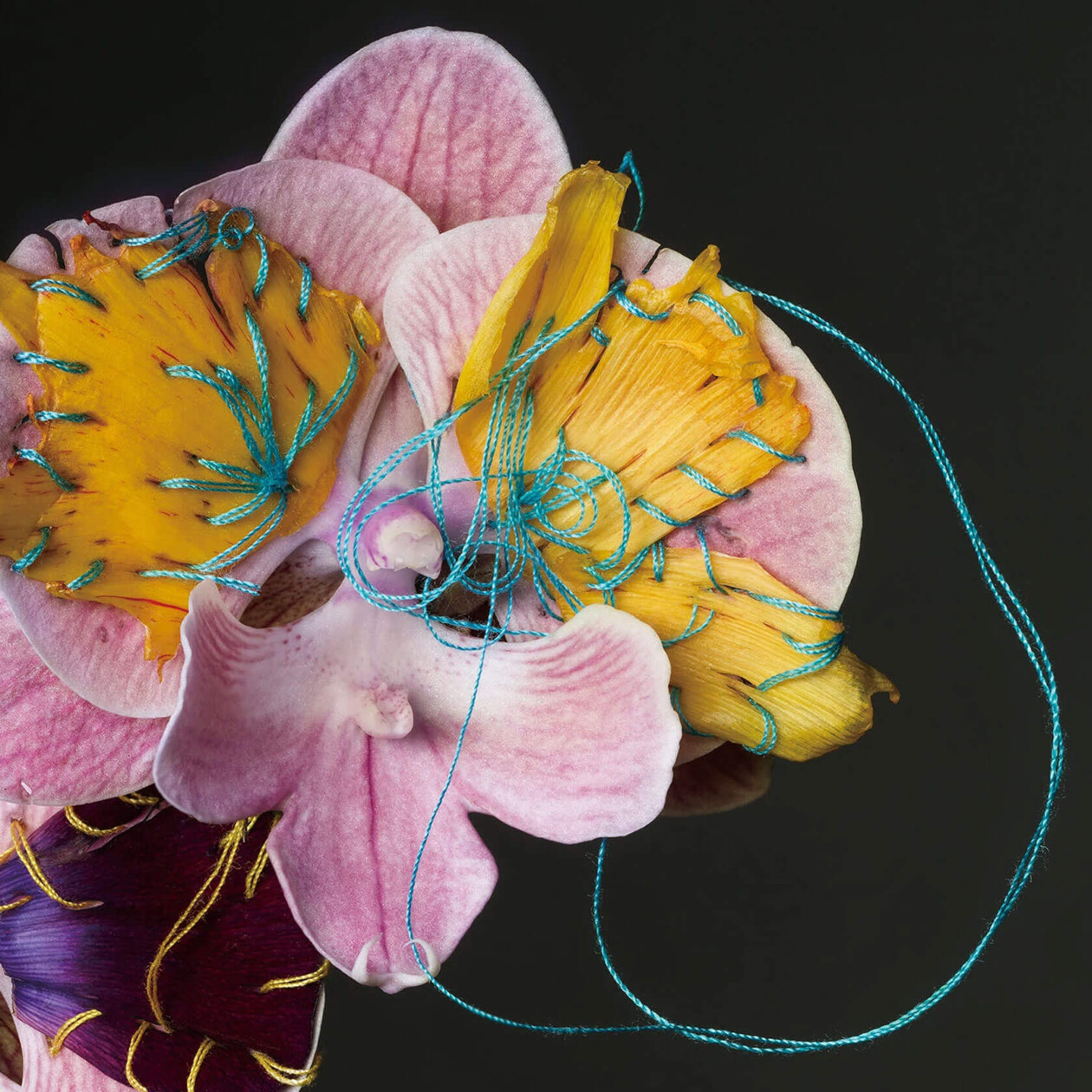 Adagio Floral Series By Cheuk Lun Lo And Vanessa Lyu (12)